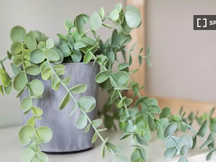 Immagine 7 di Camera condivisa in affitto  in Via Arcivescovo Romilli a Milano