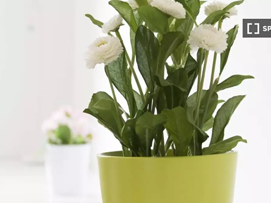 Immagine 4 di Camera condivisa in affitto  in Via Salvatore Barzilai a Milano