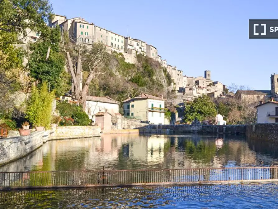Immagine 11 di Appartamento in affitto  in Via Lunga a Santa Fiora