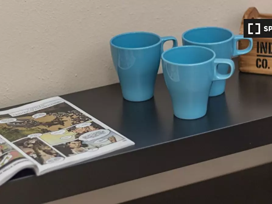 Immagine 14 di Camera condivisa in affitto  in Via Principi d'Acaja a Torino