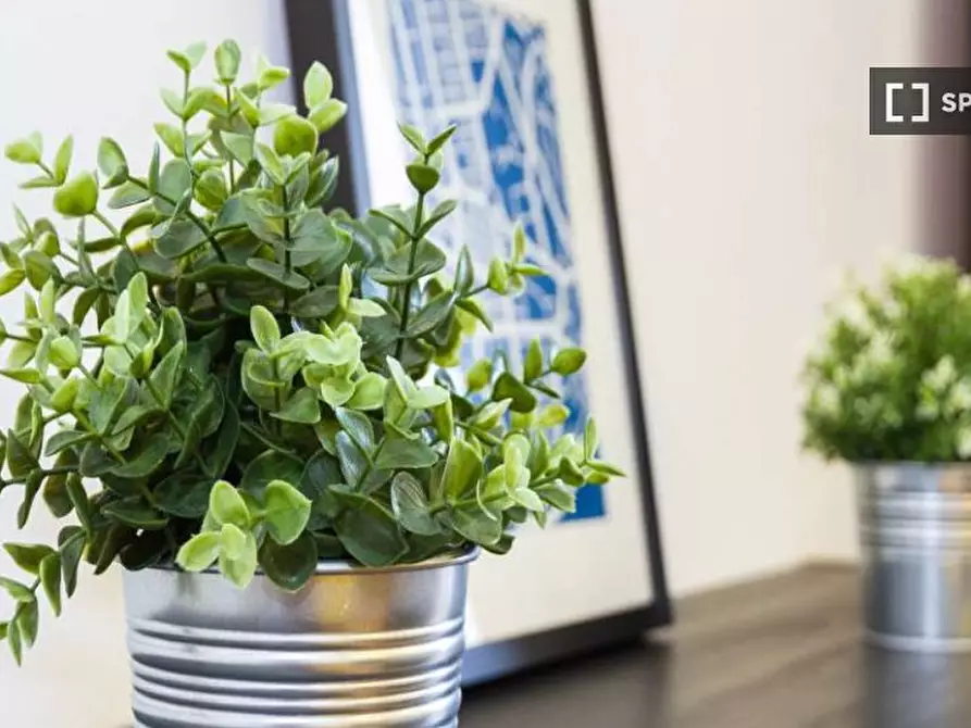 Immagine 8 di Camera condivisa in affitto  in Corso di Porta Romana a Milano