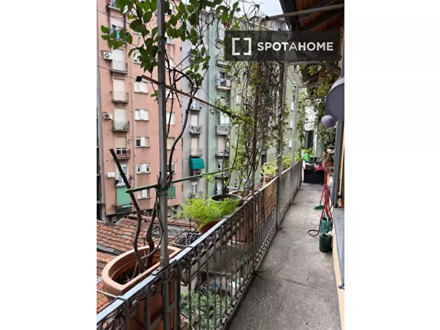 Immagine 19 di Appartamento in affitto  in Via Cecilio Stazio a Milano