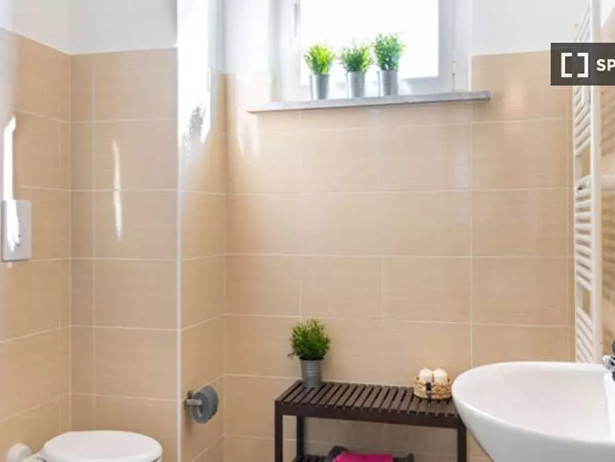 Immagine 12 di Camera condivisa in affitto  in Via Delle Betulle Milan a Monza