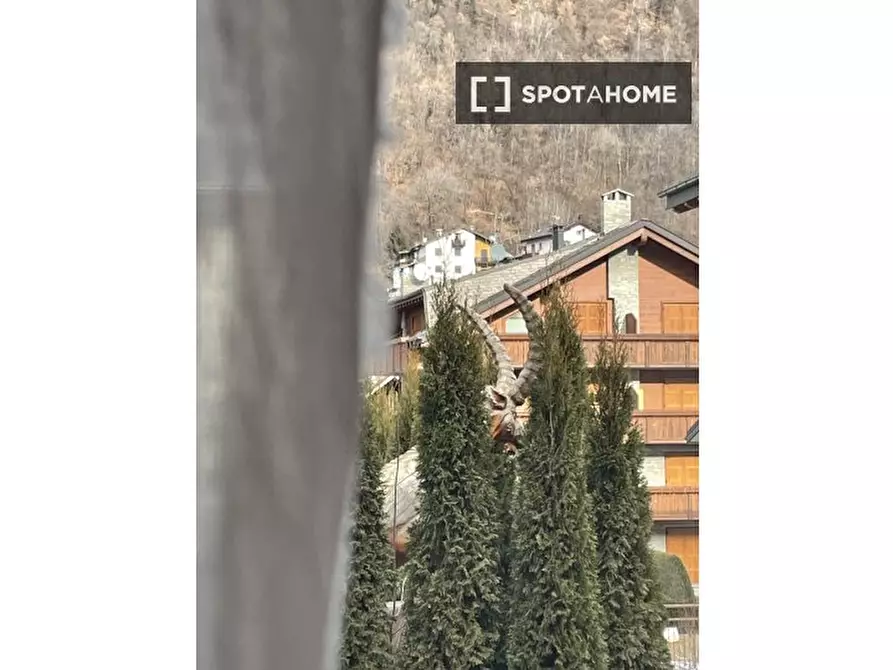 Immagine 6 di Appartamento in affitto  in Via Italia a Aprica