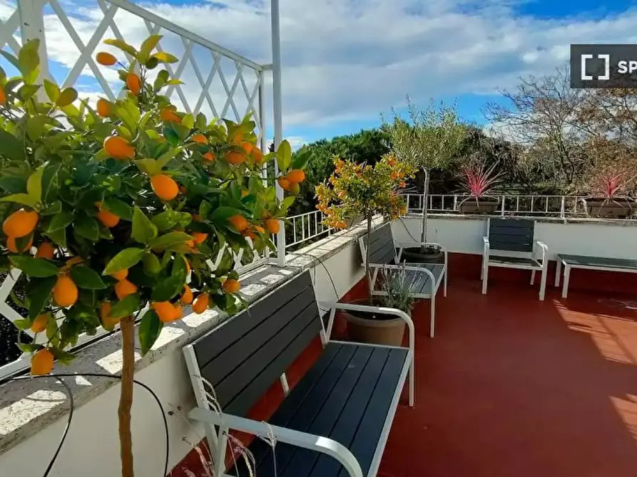 Immagine 11 di Appartamento in affitto  in Via Nicolo Piccinni a Roma