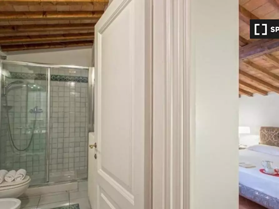 Immagine 13 di Appartamento in affitto  in Via delle Terme a Firenze