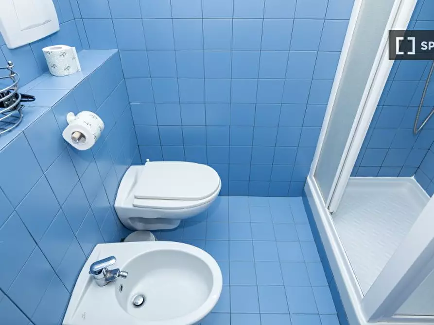 Immagine 15 di Appartamento in affitto  in Via Nicola Palmieri a Milano