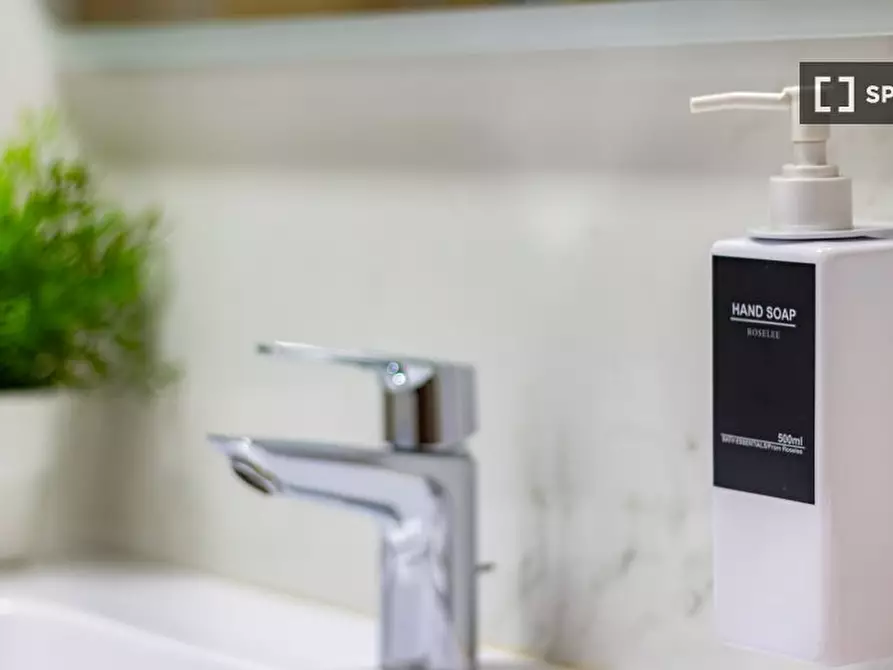 Immagine 15 di Appartamento in affitto  in Via Privata Carlo Antonio Carlone a Milano