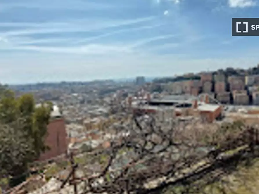 Immagine 14 di Appartamento in affitto  in Via Aurelio Robino a Genova