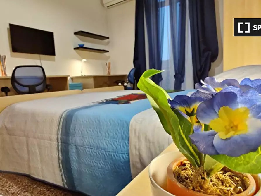 Immagine 19 di Camera condivisa in affitto  in Via Montevideo a Genova