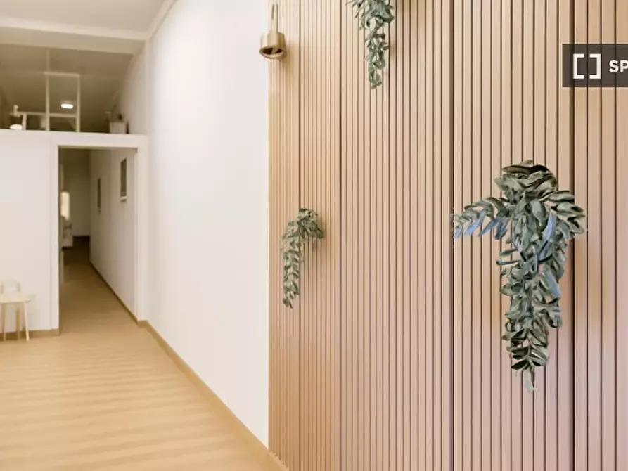 Immagine 13 di Camera condivisa in affitto  in G. Domenico Romagnosi a Trento