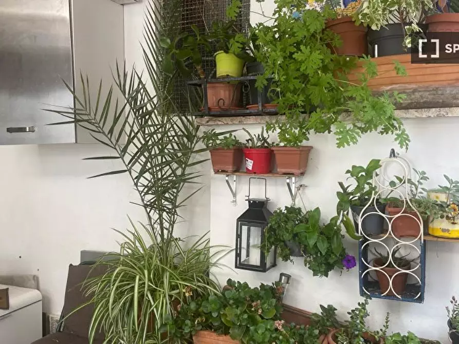 Immagine 8 di Appartamento in affitto  in Viale dell'Acquedotto Alessandrino a Roma