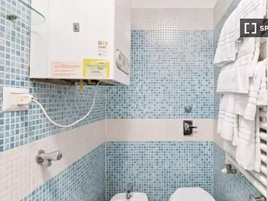 Immagine 19 di Appartamento in affitto  in Via Domenico Cirillo a Milano