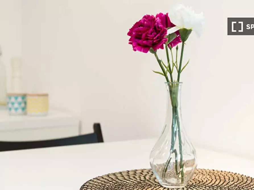 Immagine 17 di Camera condivisa in affitto  in Via Pasquale Fornari a Milano