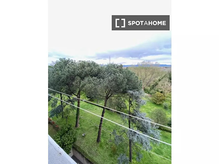 Immagine 15 di Camera condivisa in affitto  in Via Fausto Gullo a Roma
