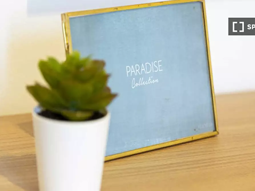 Immagine 6 di Camera condivisa in affitto  in Via Valsugana a Milano