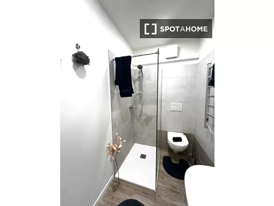 Immagine 18 di Camera condivisa in affitto  in Novembre 132 a Trento