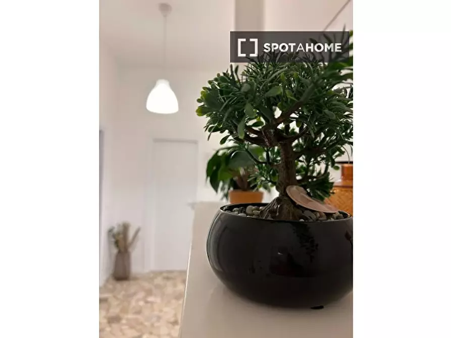 Immagine 8 di Camera condivisa in affitto  in Cipani a Brescia