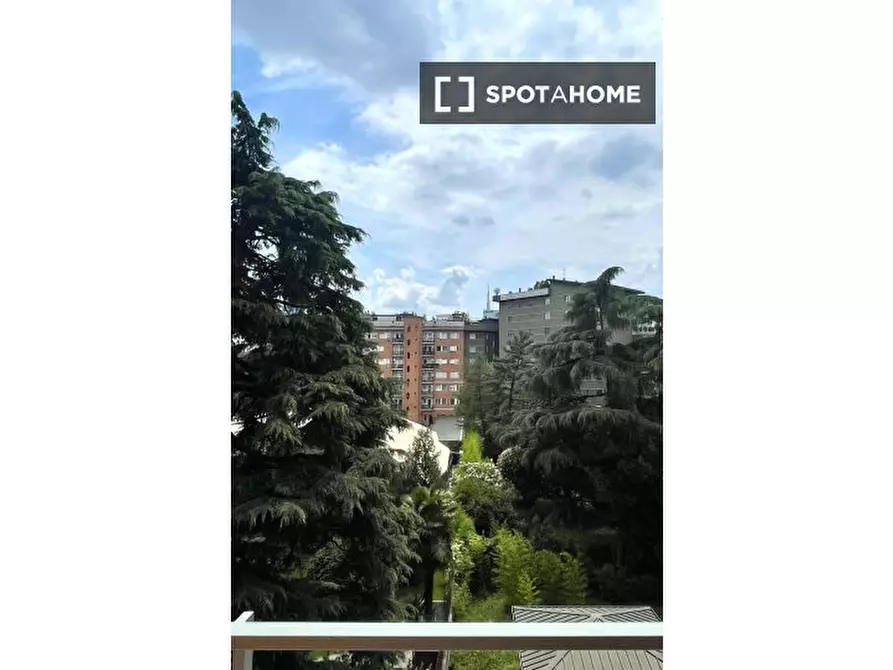 Immagine 18 di Appartamento in affitto  in Via Torquato Taramelli a Milano