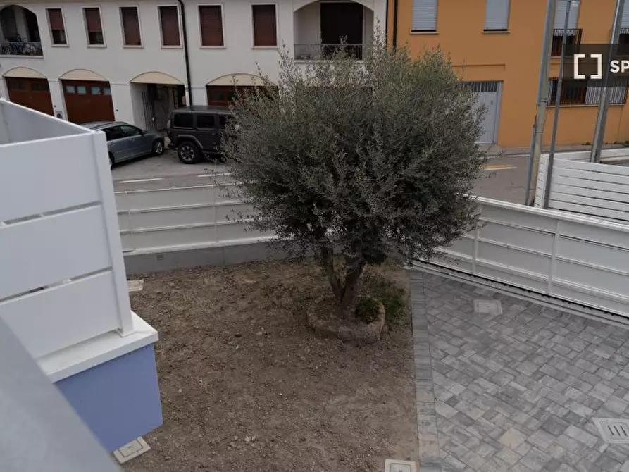 Immagine 17 di Camera condivisa in affitto  in Via Vecchia a Padova