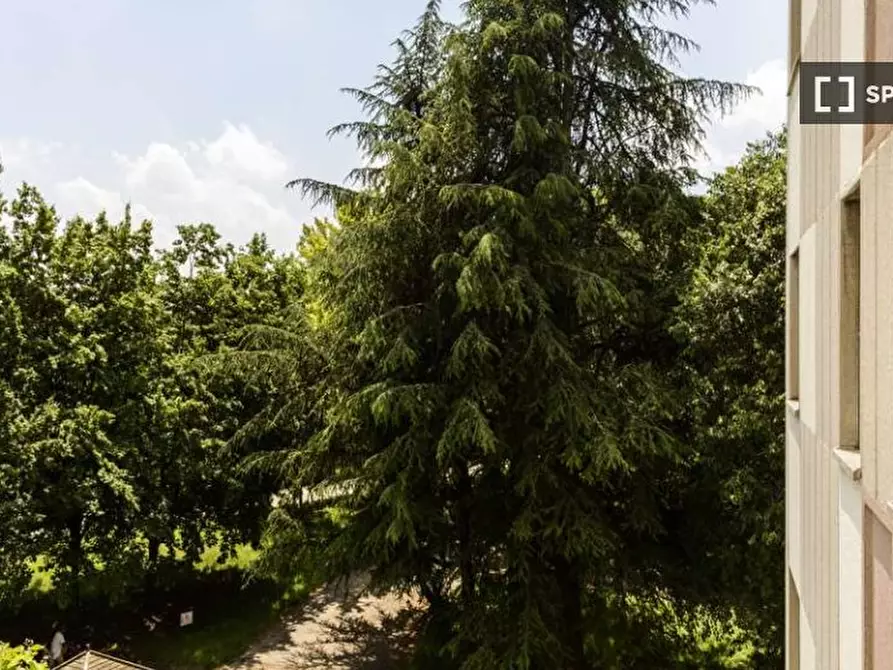 Immagine 18 di Camera condivisa in affitto  in Via Delle Ande a Milano