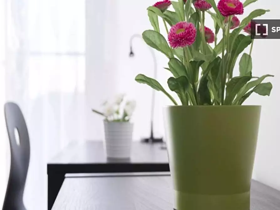 Immagine 3 di Camera condivisa in affitto  in Largo Cavalieri di Malta a Milano