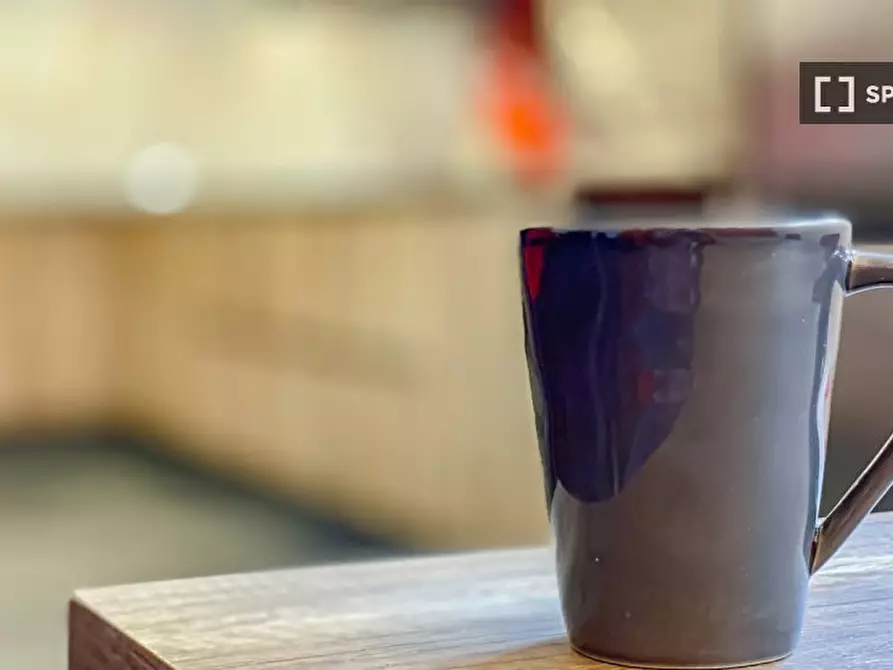 Immagine 8 di Camera condivisa in affitto  in Via Tommaso Gar a Trento