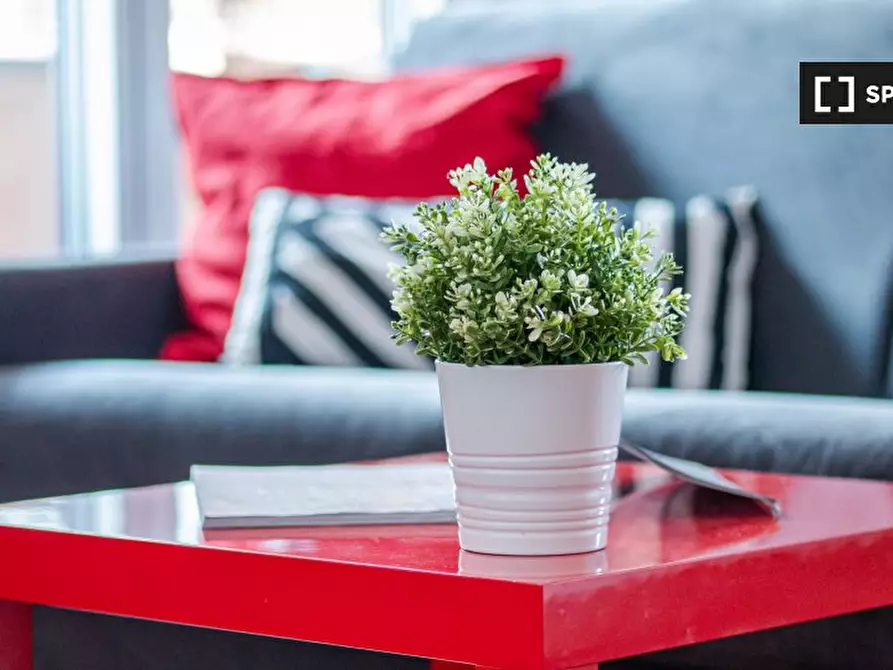 Immagine 5 di Appartamento in affitto  in Via Neera a Milano