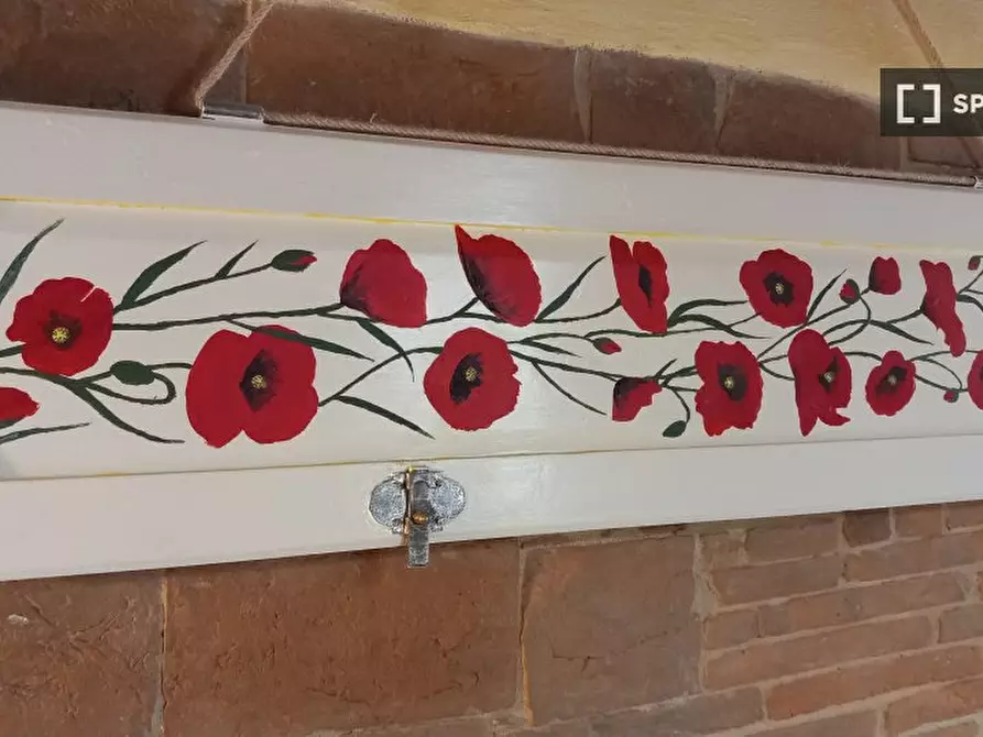 Immagine 11 di Appartamento in affitto  in vicolo del giglio a Capraia E Limite