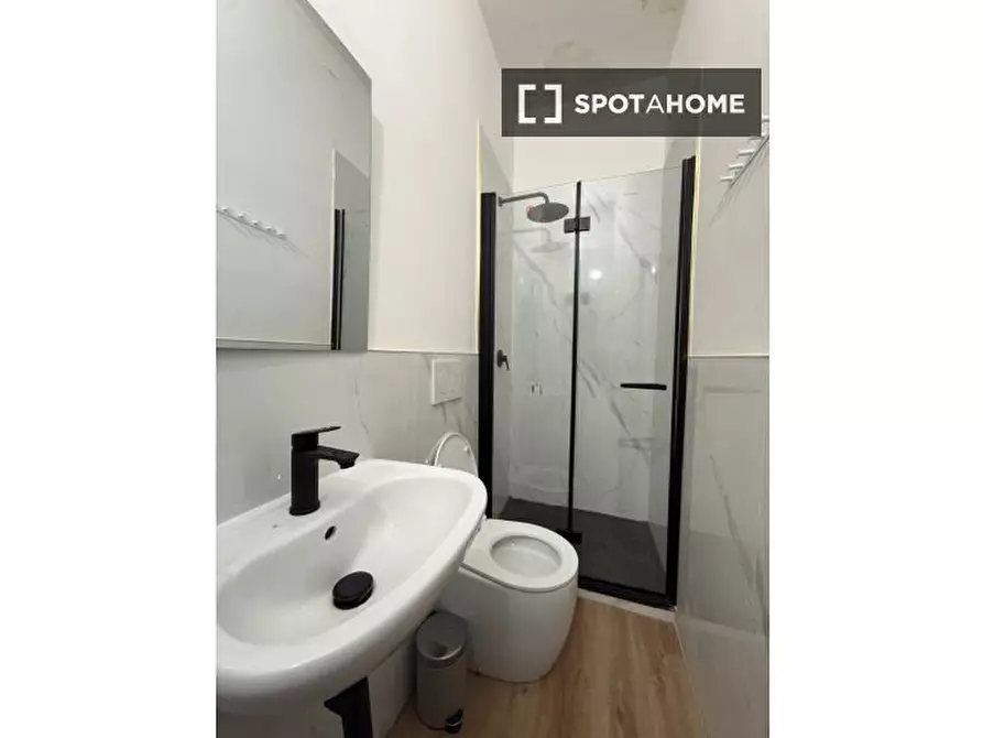 Immagine 15 di Camera condivisa in affitto  in Piazza di S. Jacopino a Firenze