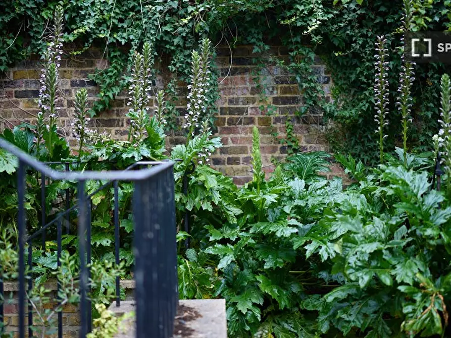 Immagine 5 di Appartamento in affitto  in Crescent Grove a Lambeth