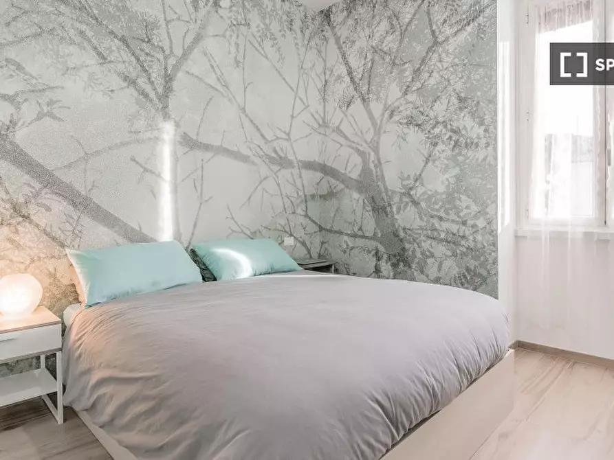 Immagine 16 di Appartamento in affitto  in Via Conte di Carmagnola a Roma