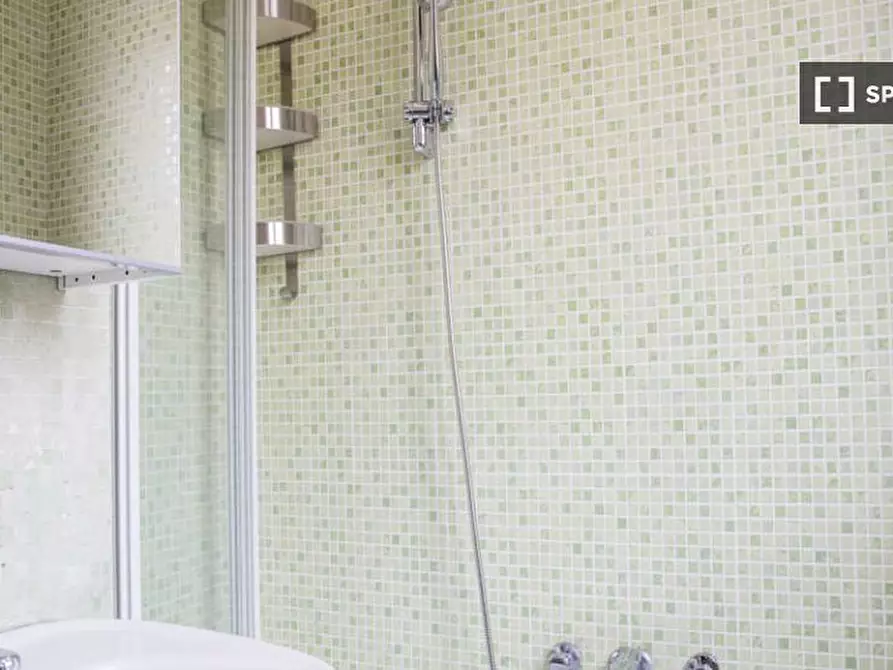 Immagine 15 di Camera condivisa in affitto  in Via Salvatore Barzilai a Milano