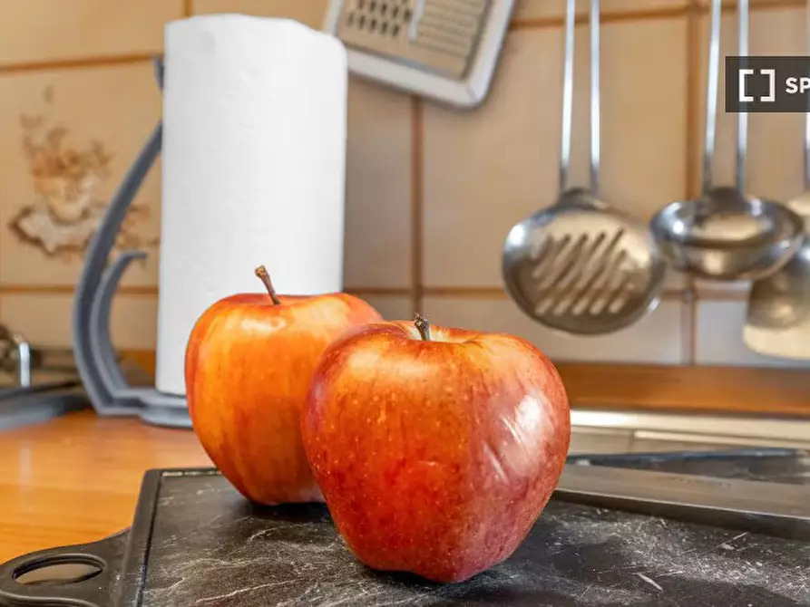 Immagine 9 di Appartamento in affitto  in Via Giulio Carcano a Milano