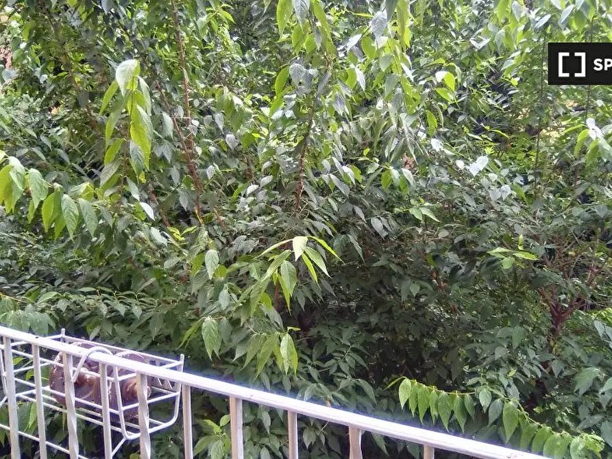 Immagine 6 di Camera condivisa in affitto  in Via Capo di Lucca a Bologna