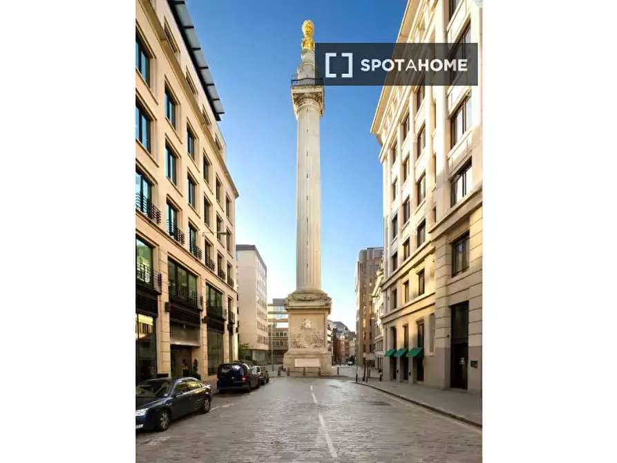 Immagine 9 di Appartamento in affitto  in Monument St a 