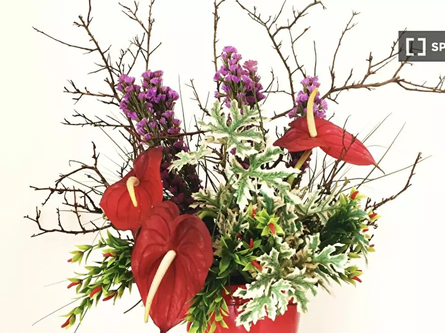 Immagine 14 di Appartamento in affitto  in Via Giacomo Puccini a Busto Arsizio