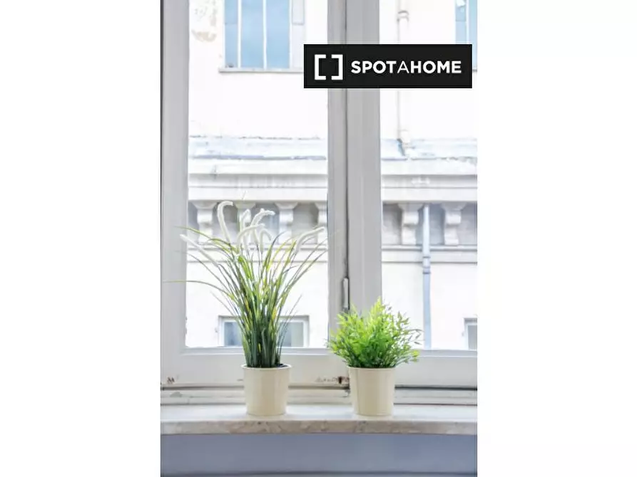 Immagine 19 di Camera condivisa in affitto  in Via Sant'Agostino a Torino