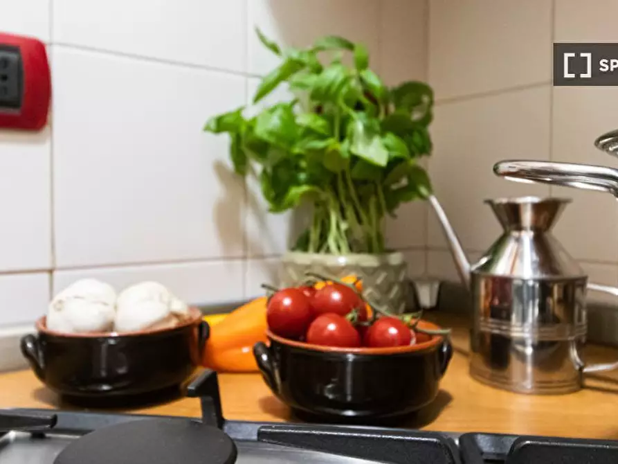 Immagine 15 di Appartamento in affitto  in Via Cornalia a Milano