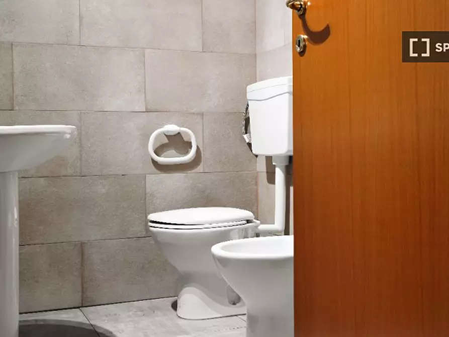 Immagine 19 di Camera condivisa in affitto  in Viale Quirico Filopanti a Bologna