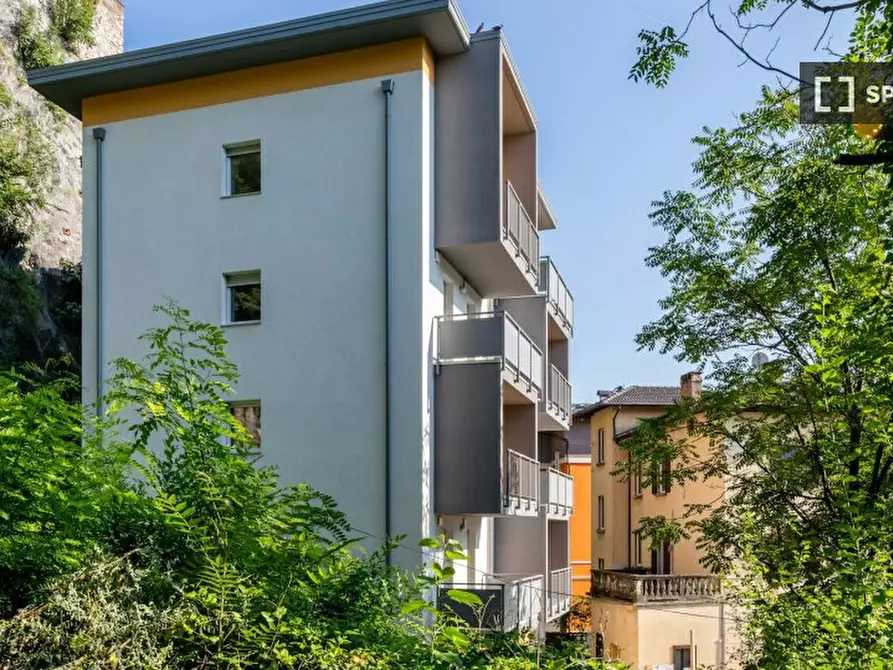 Immagine 19 di Camera condivisa in affitto  in Venezia a Trento