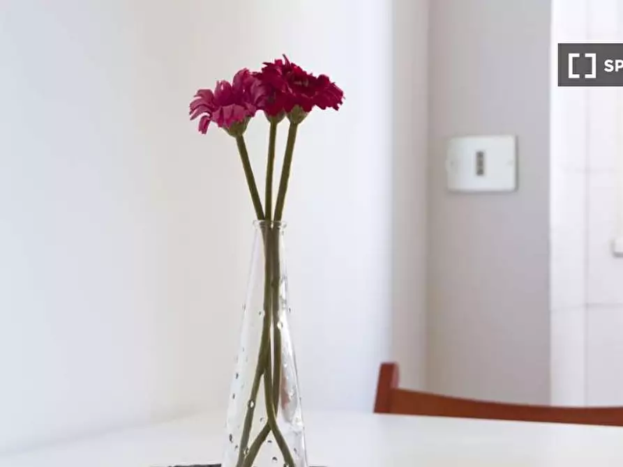 Immagine 15 di Camera condivisa in affitto  in Via Salvatore Barzilai a Milano