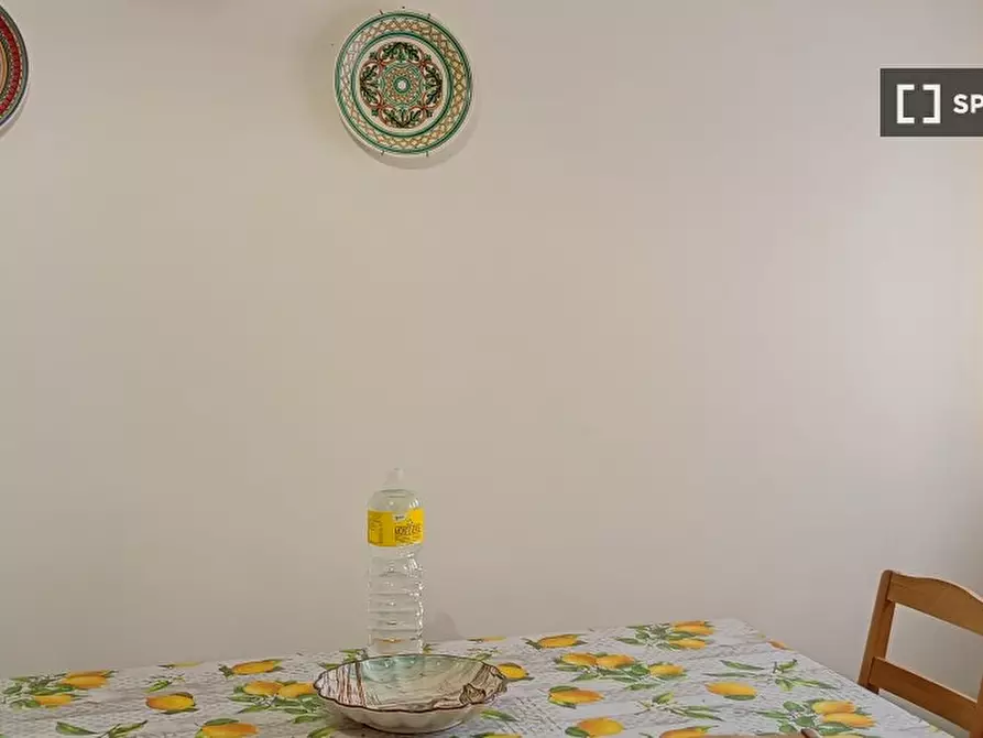 Immagine 6 di Camera condivisa in affitto  in Via Caterina Franceschi Ferrucci a Firenze