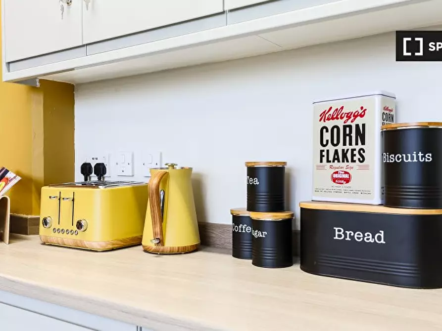 Immagine 12 di Appartamento in affitto  in West Wing Oslo House a Hackney