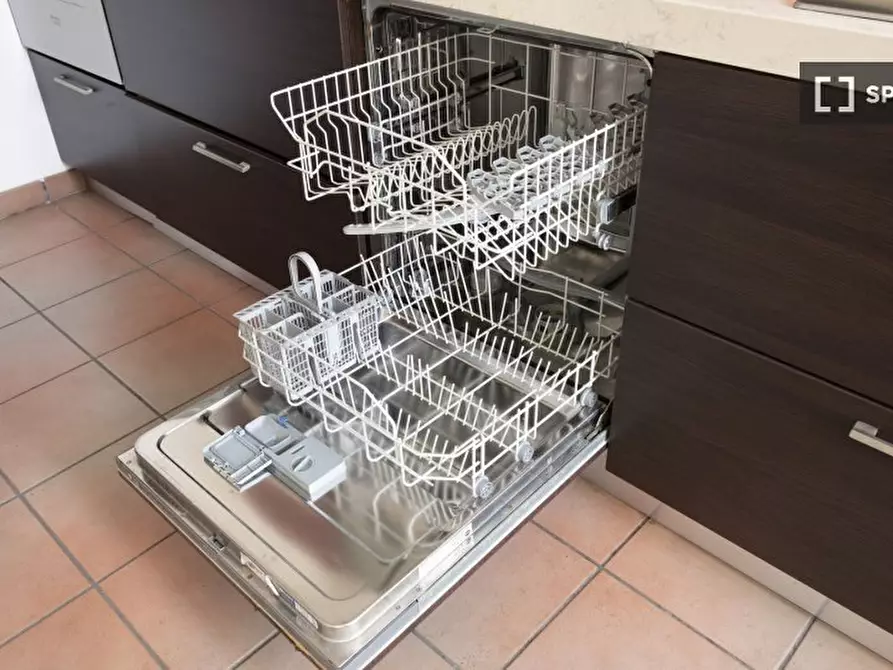 Immagine 18 di Appartamento in affitto  in Via Placido Zurla a Roma