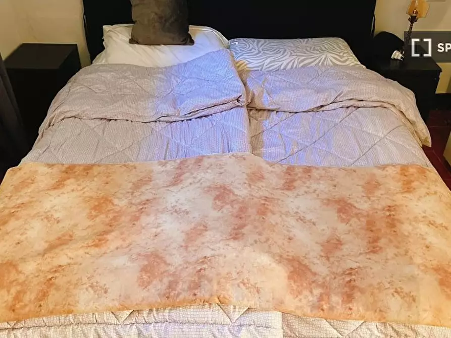 Immagine 7 di Appartamento in affitto  in Lungarno Amerigo Vespucci a Firenze