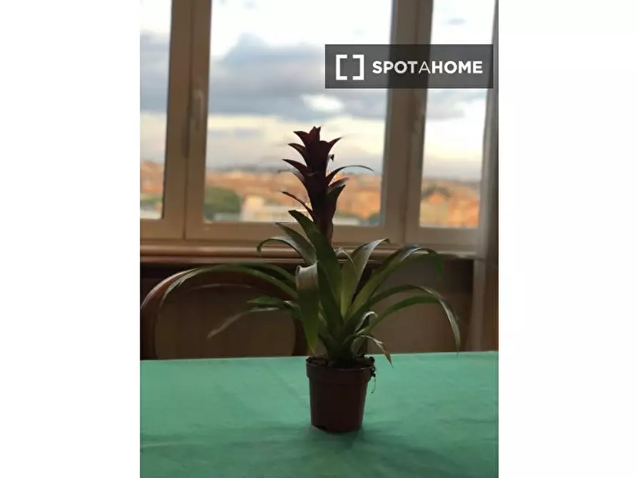 Immagine 7 di Camera condivisa in affitto  in Via Cipro a Roma