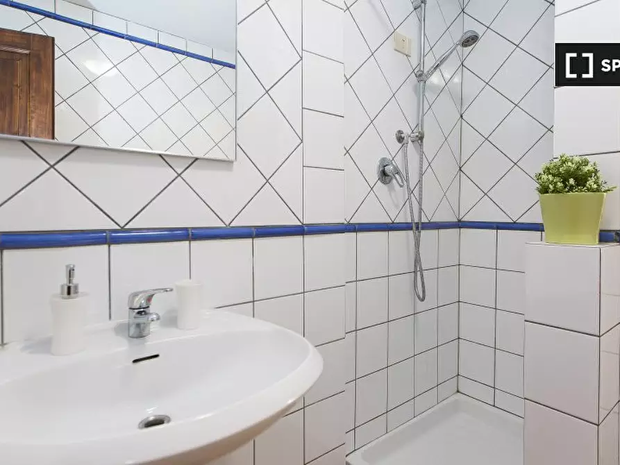 Immagine 12 di Appartamento in affitto  in Viale Fratelli Rosselli a Firenze