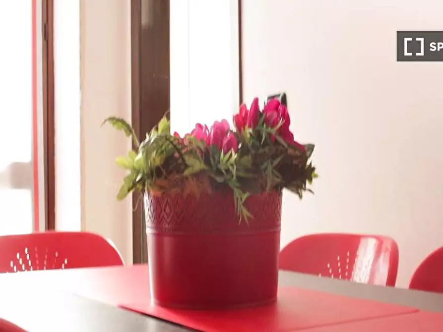 Immagine 13 di Camera condivisa in affitto  in Corso Lodi a Milano