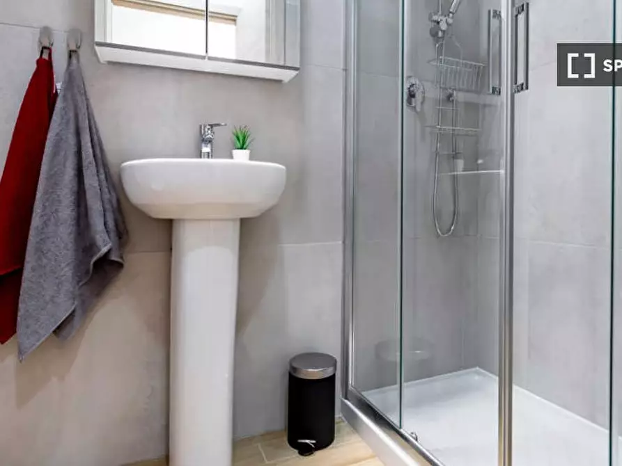 Immagine 12 di Camera condivisa in affitto  in Via Carlo Pedrotti a Torino